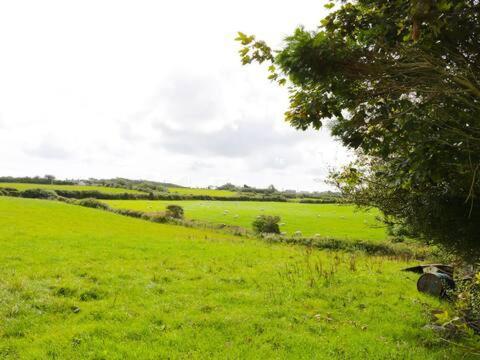 Ty Rhos, Farm Stay, Sleeps 4, Rhoshirwaun 2 Miles From Aberdaron Exterior foto